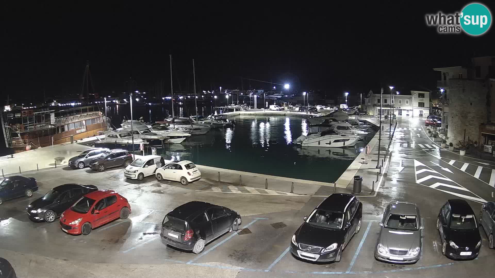 Novigrad | Porporela marina