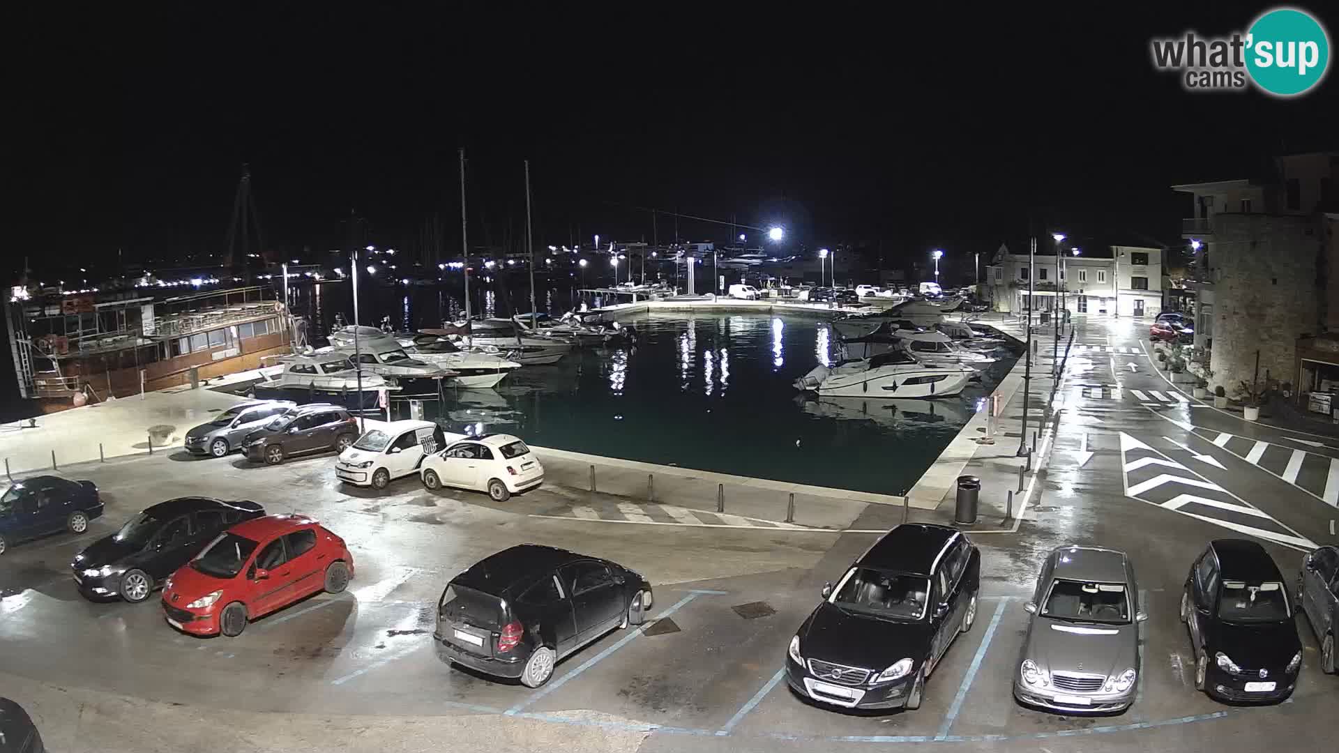 Novigrad | Porporela marina
