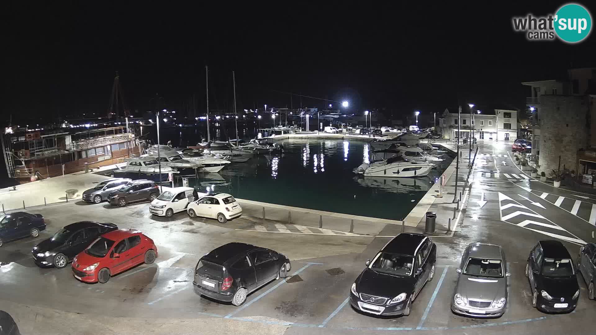Novigrad | Porporela marina