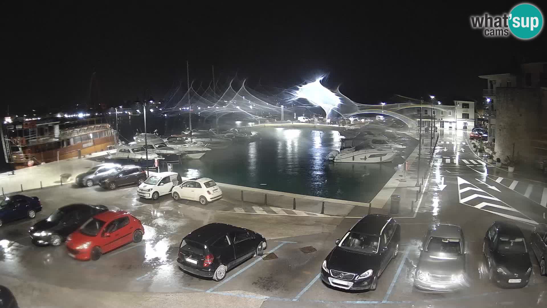 Novigrad | Porporela marina