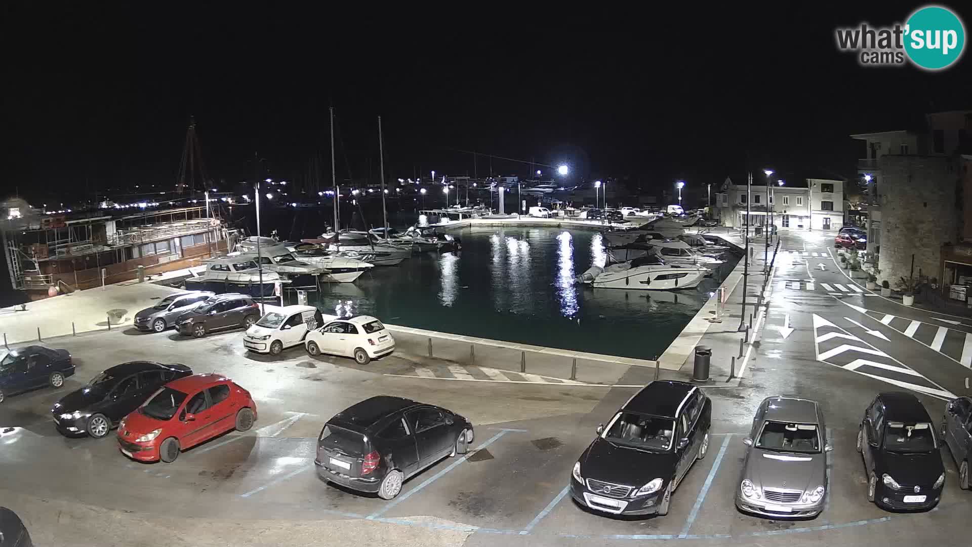 Novigrad | Porporela marina