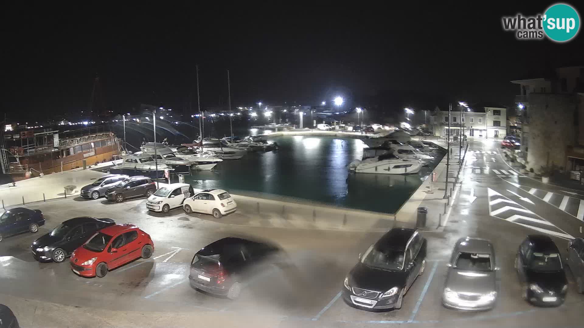 Novigrad | Porporela marina