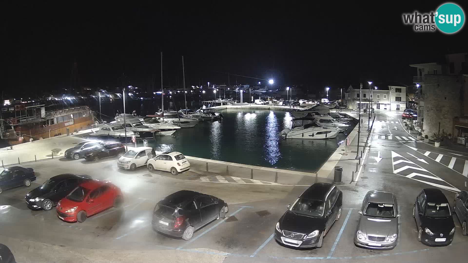 Novigrad | Porporela marina