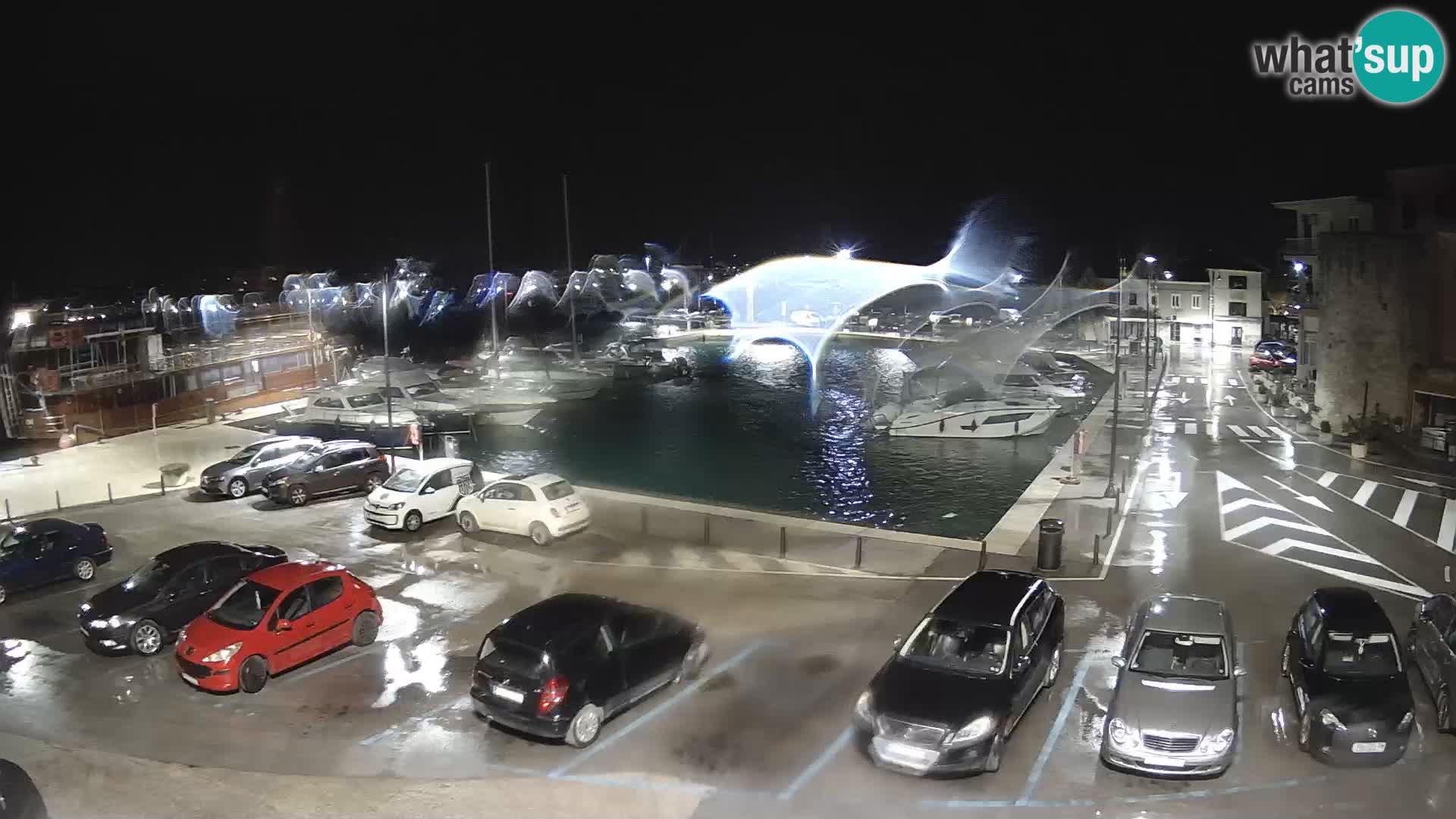 Novigrad | Porporela marina