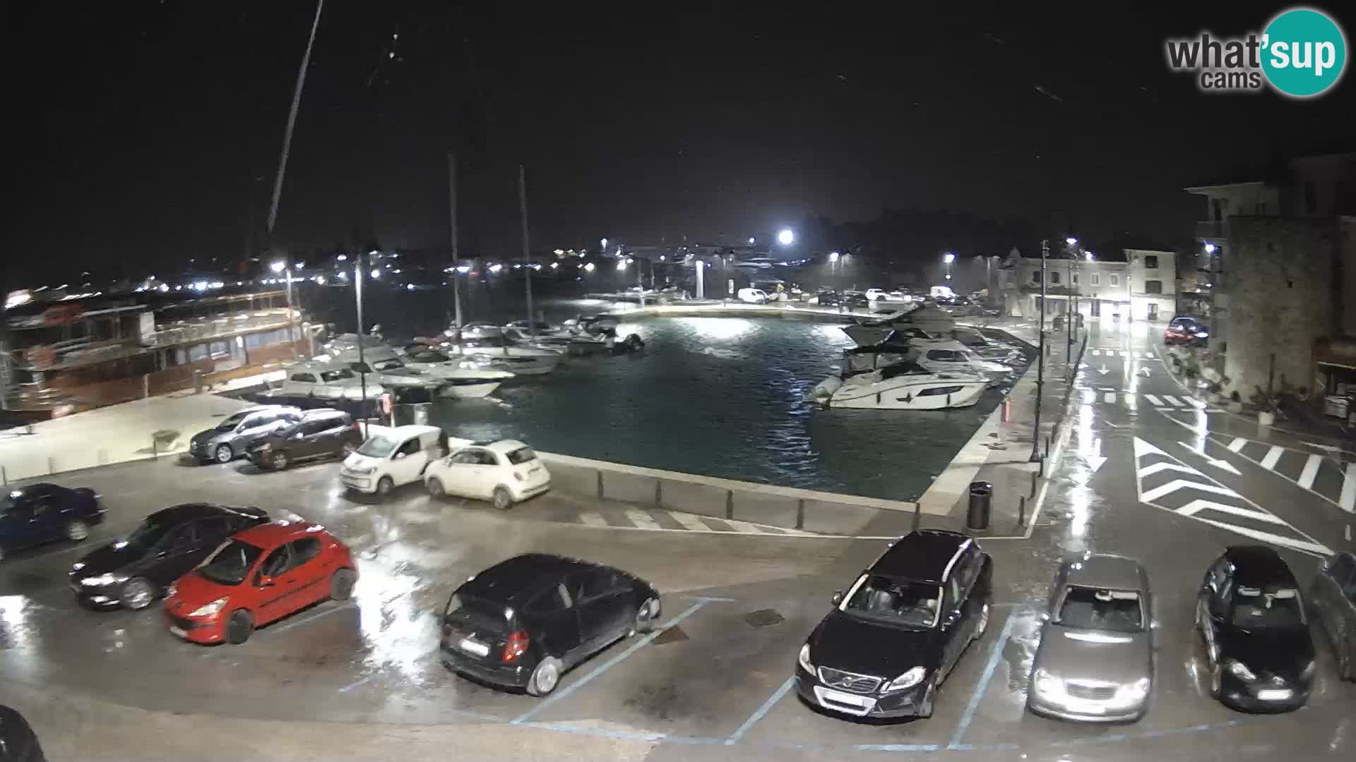 Novigrad | Porporela marina