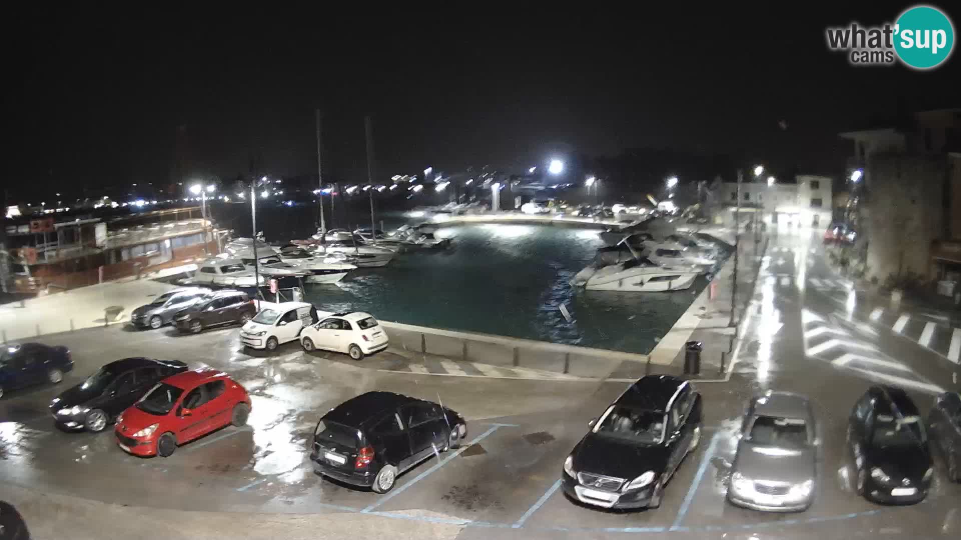 Novigrad | Porporela marina