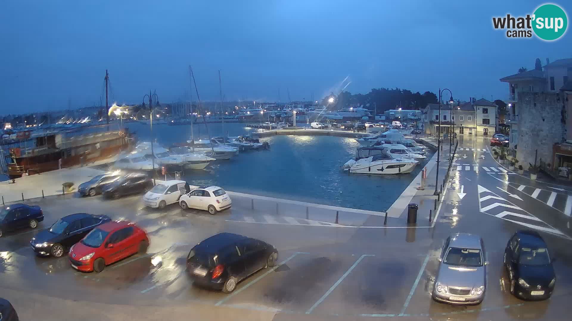 Novigrad | Porporela marina