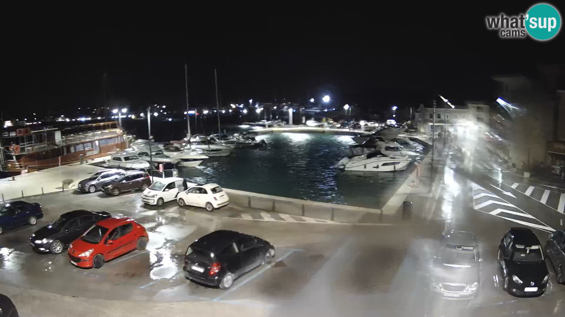 Novigrad | Porporela marina