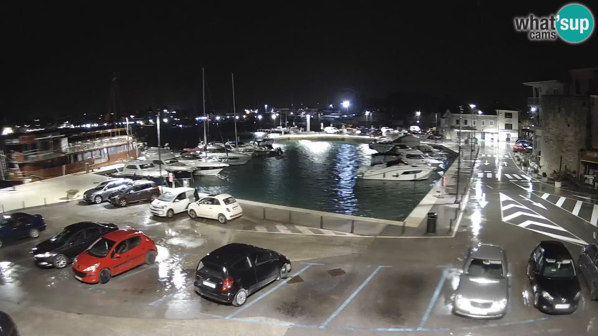 Novigrad | Porporela marina