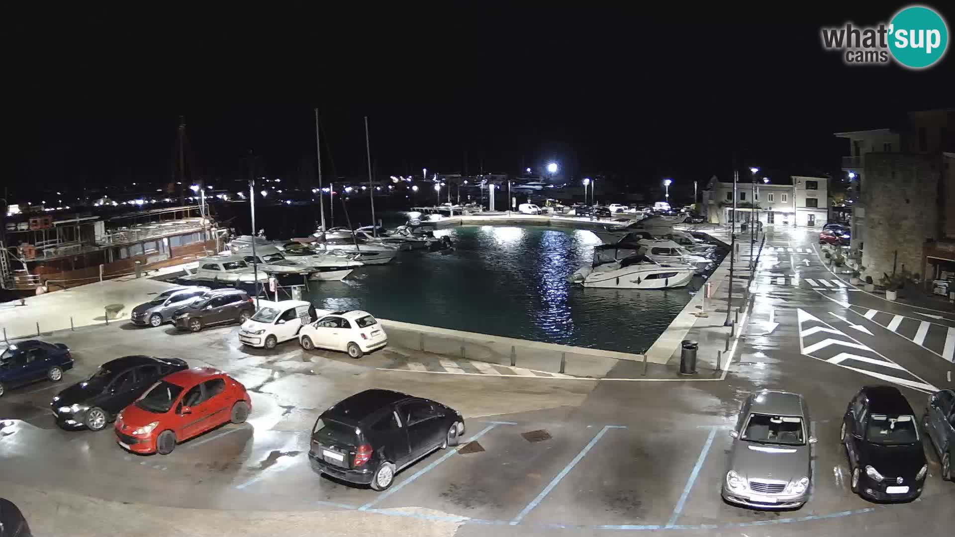 Novigrad | Porporela marina