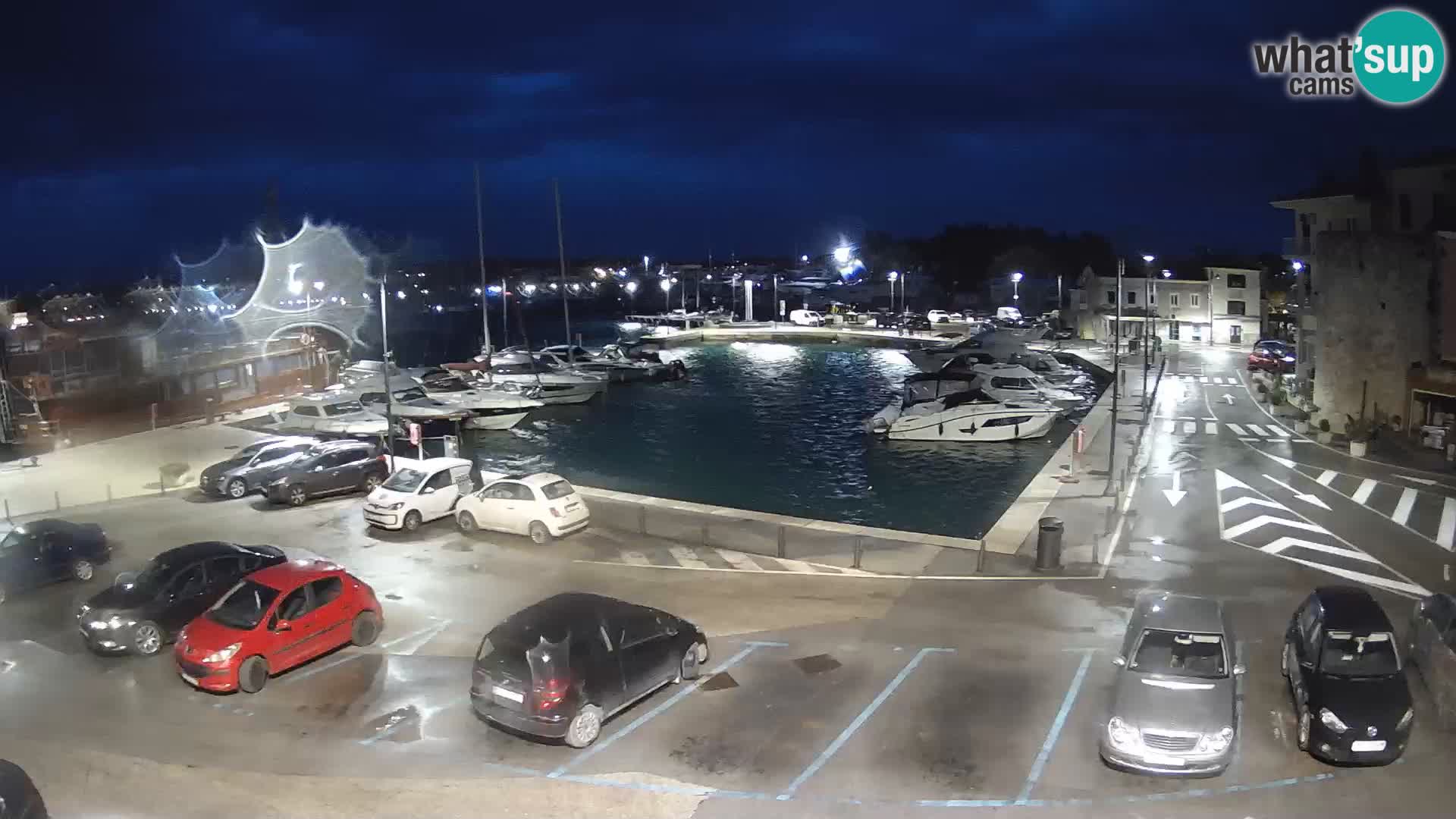Novigrad | Porporela marina