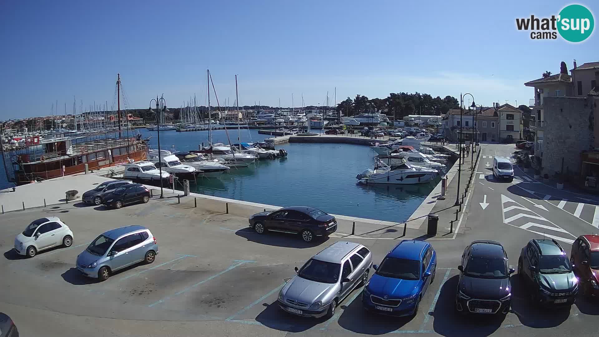 Novigrad | Porporela marina