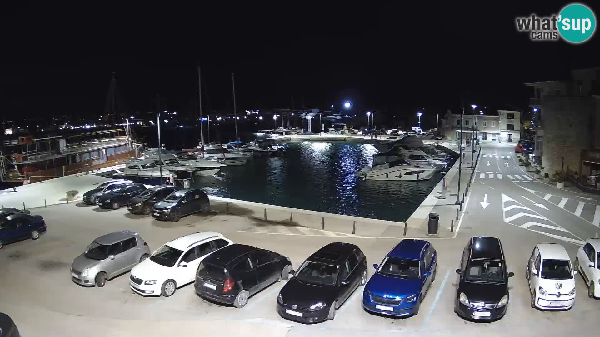 Novigrad | Porporela marina