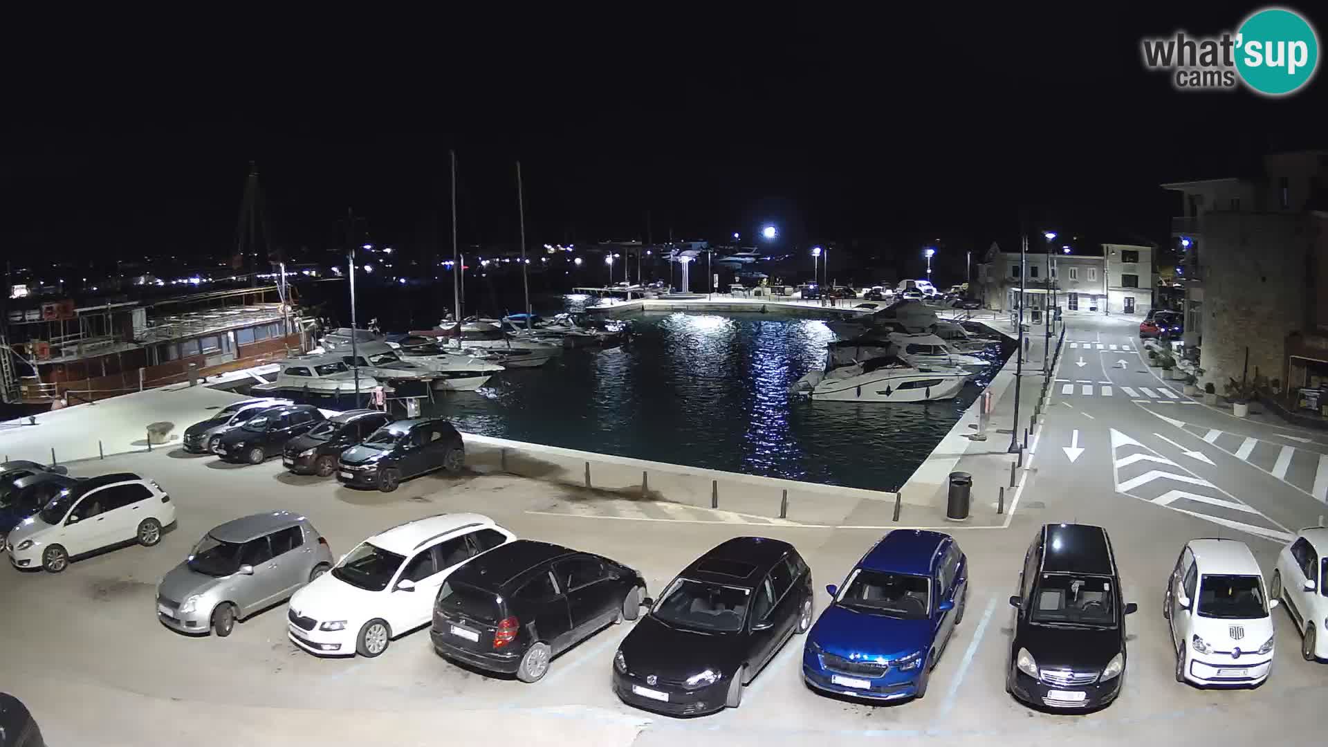 Novigrad | Porporela marina