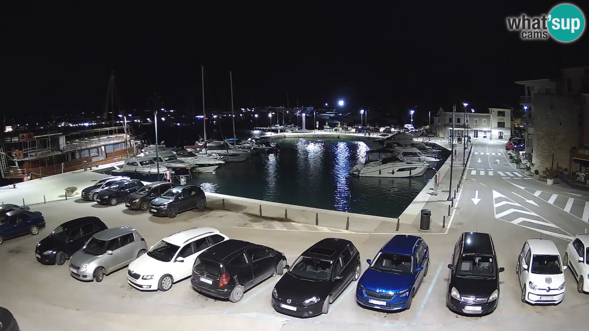 Novigrad | Porporela marina