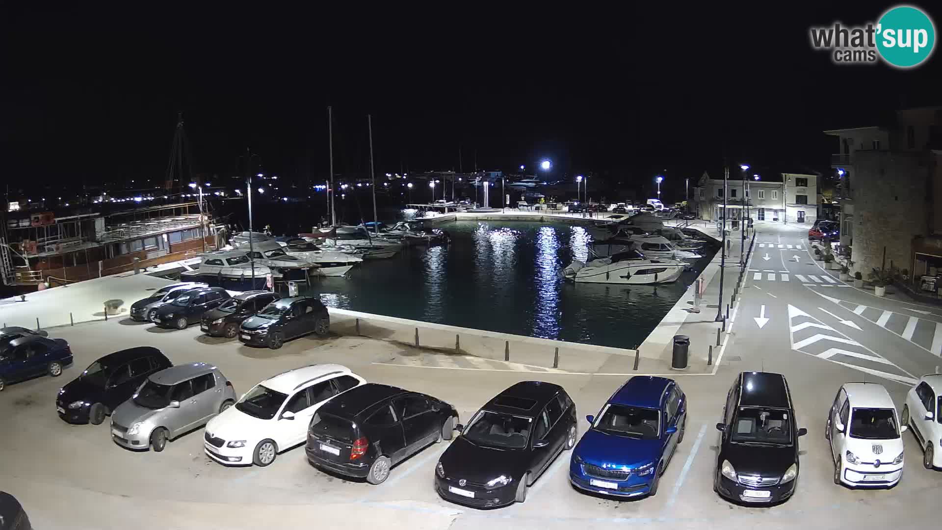 Novigrad | Porporela marina