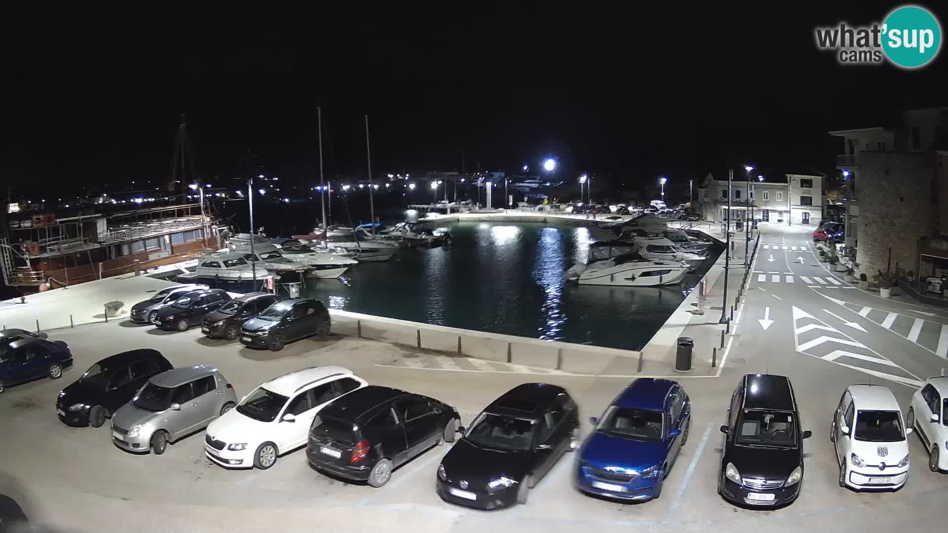 Novigrad | Porporela marina