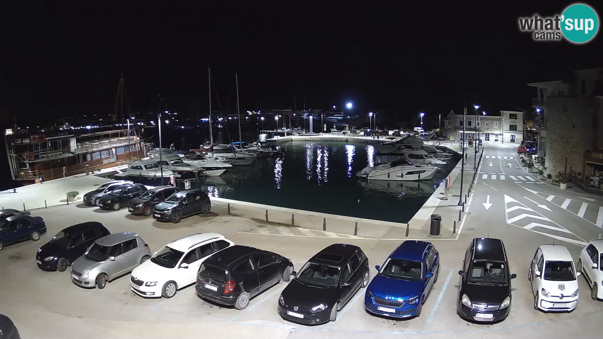 Novigrad | Porporela marina