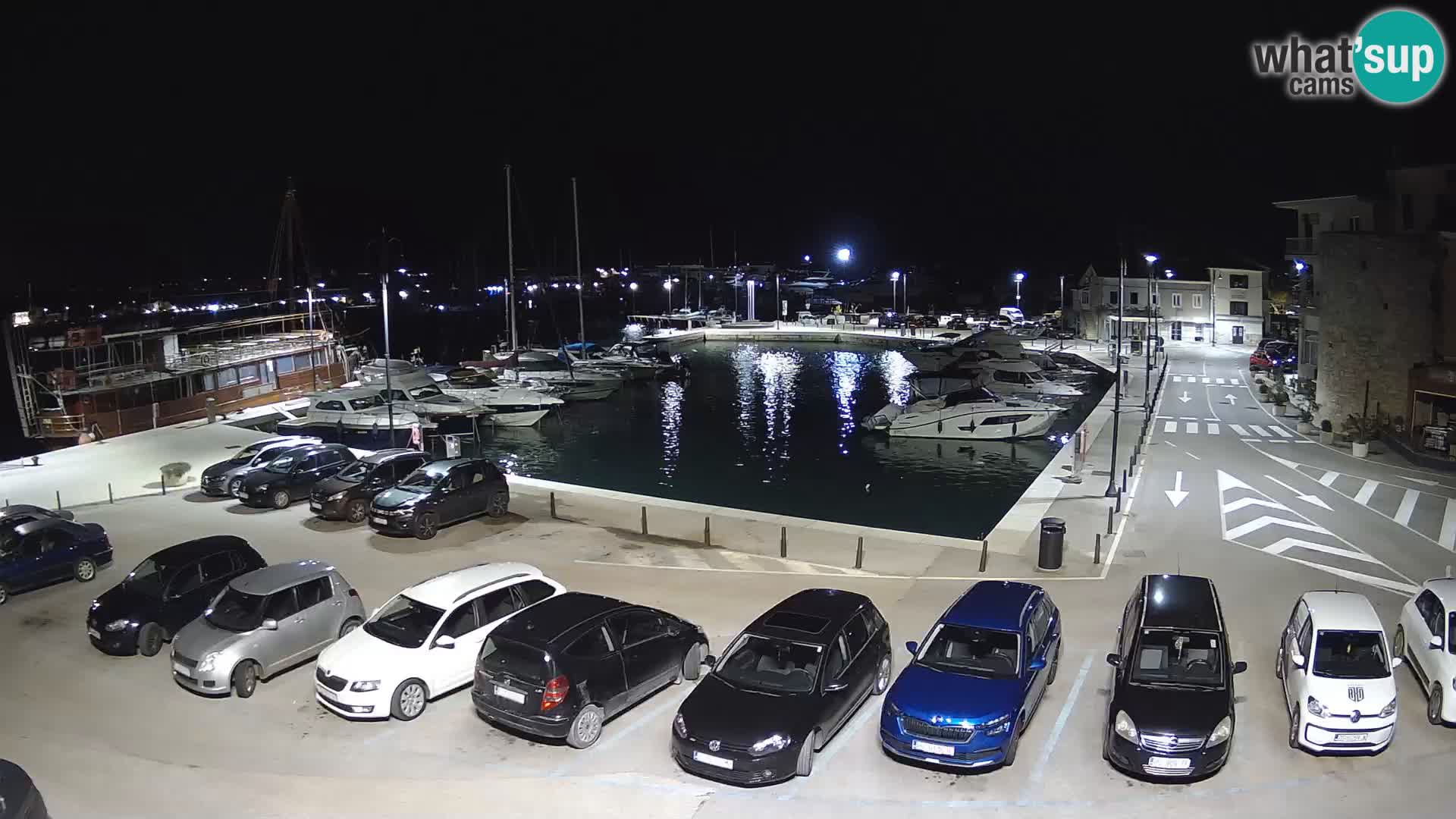 Novigrad | Porporela marina