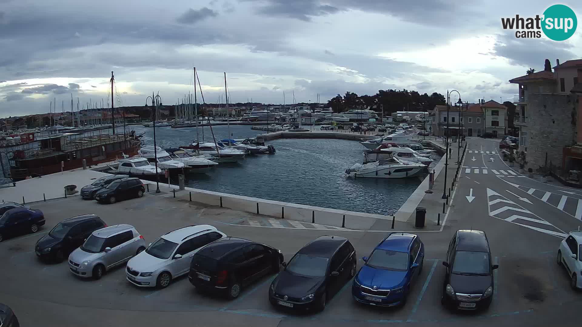 Novigrad | Porporela marina