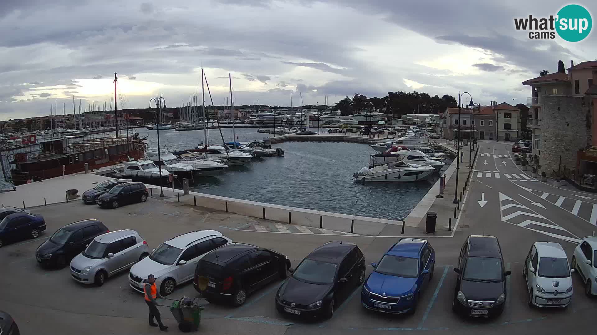 Novigrad | Porporela marina