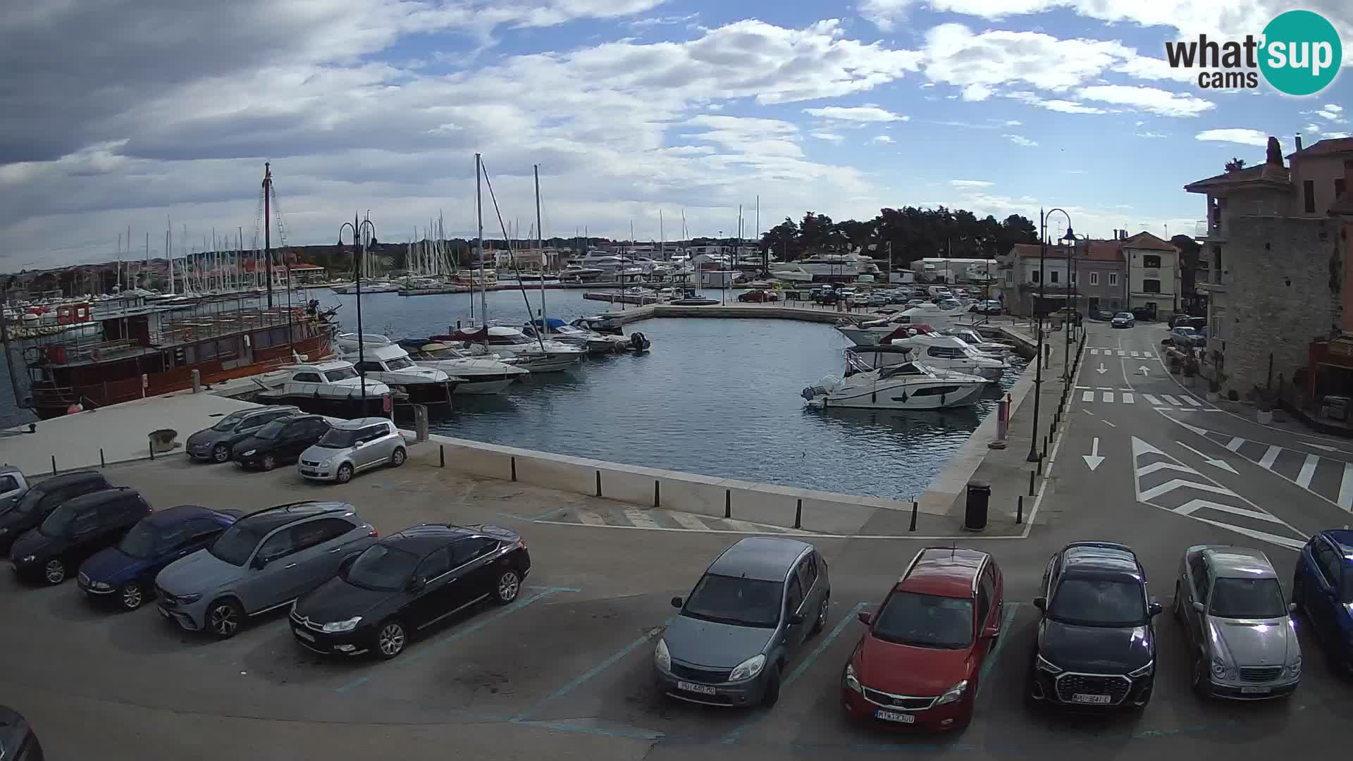 Novigrad | Porporela marina