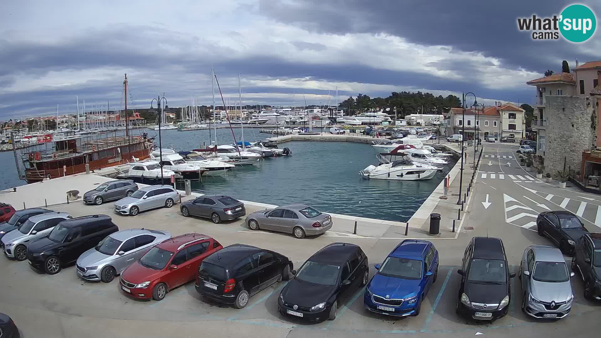 Novigrad | Porporela marina