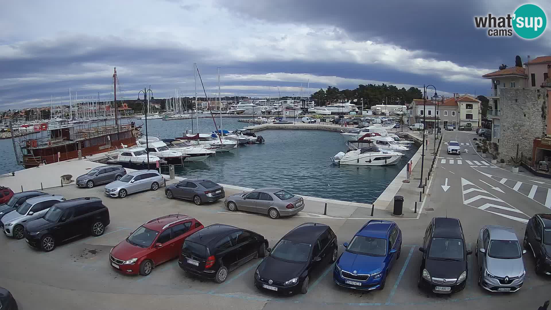 Novigrad | Porporela marina