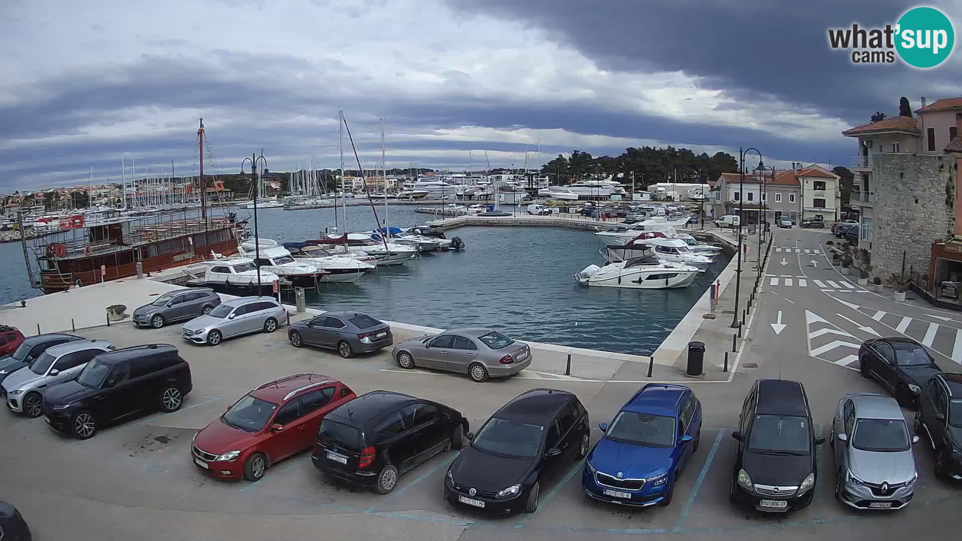 Novigrad | Porporela marina