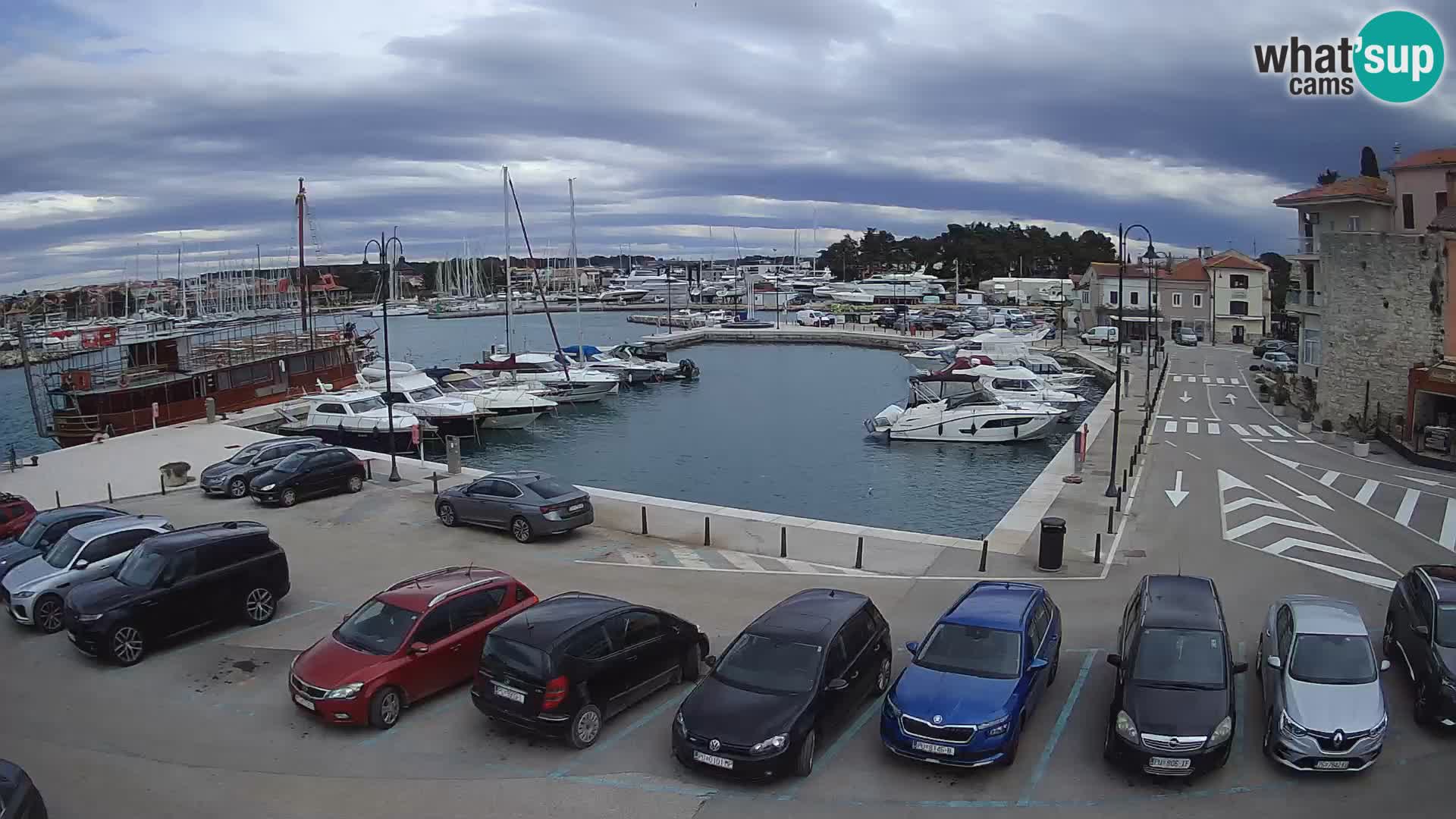 Novigrad | Porporela marina