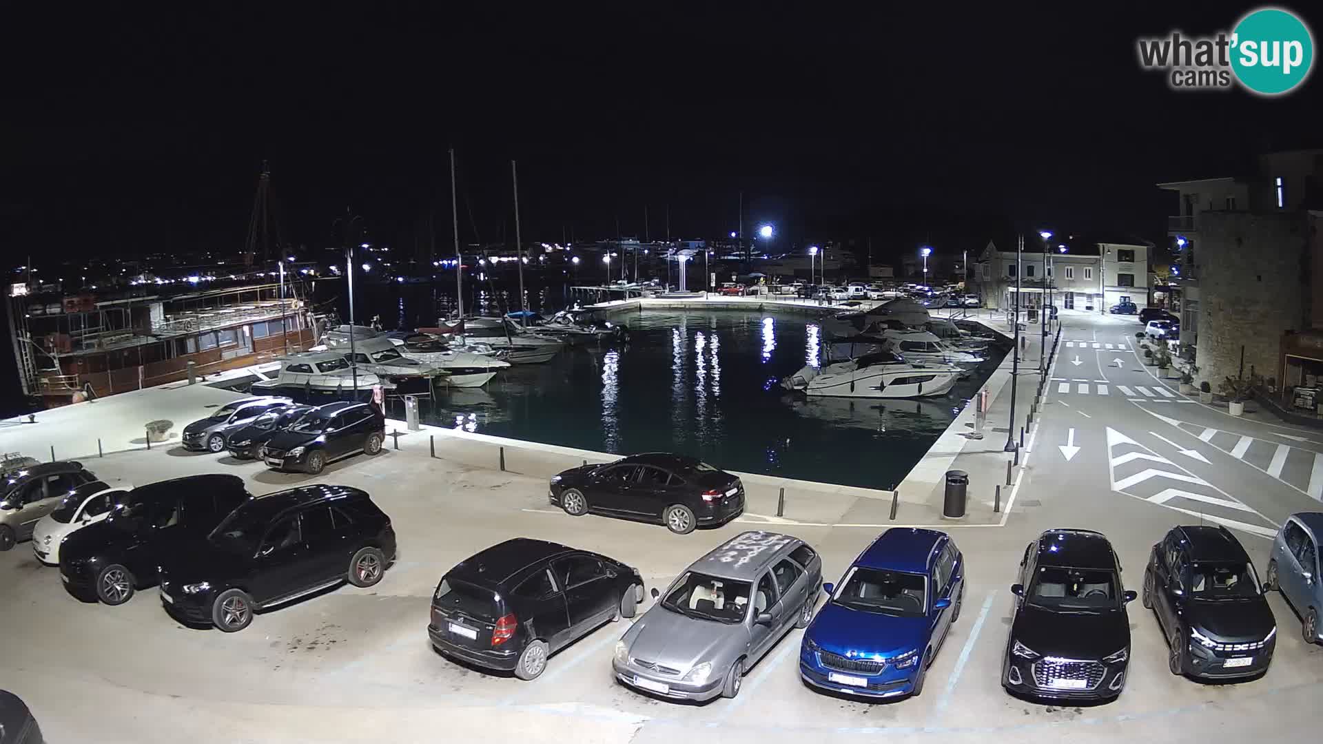 Novigrad | Porporela marina