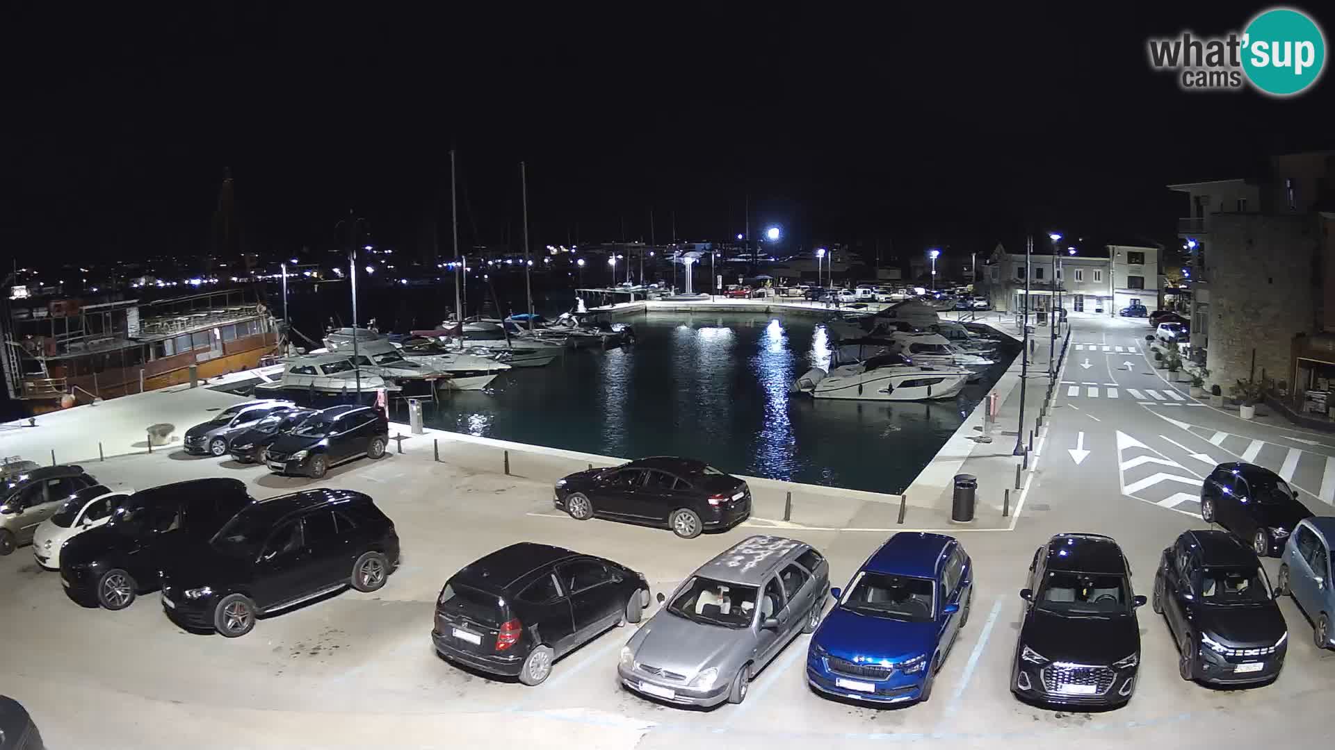 Novigrad | Porporela marina