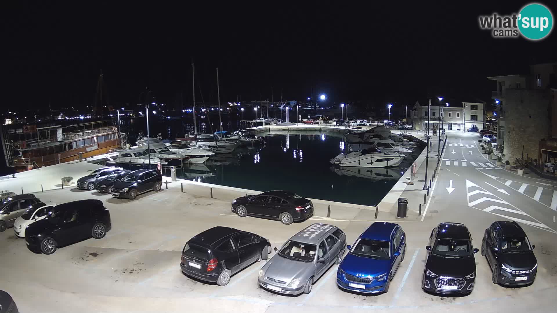 Novigrad | Porporela marina