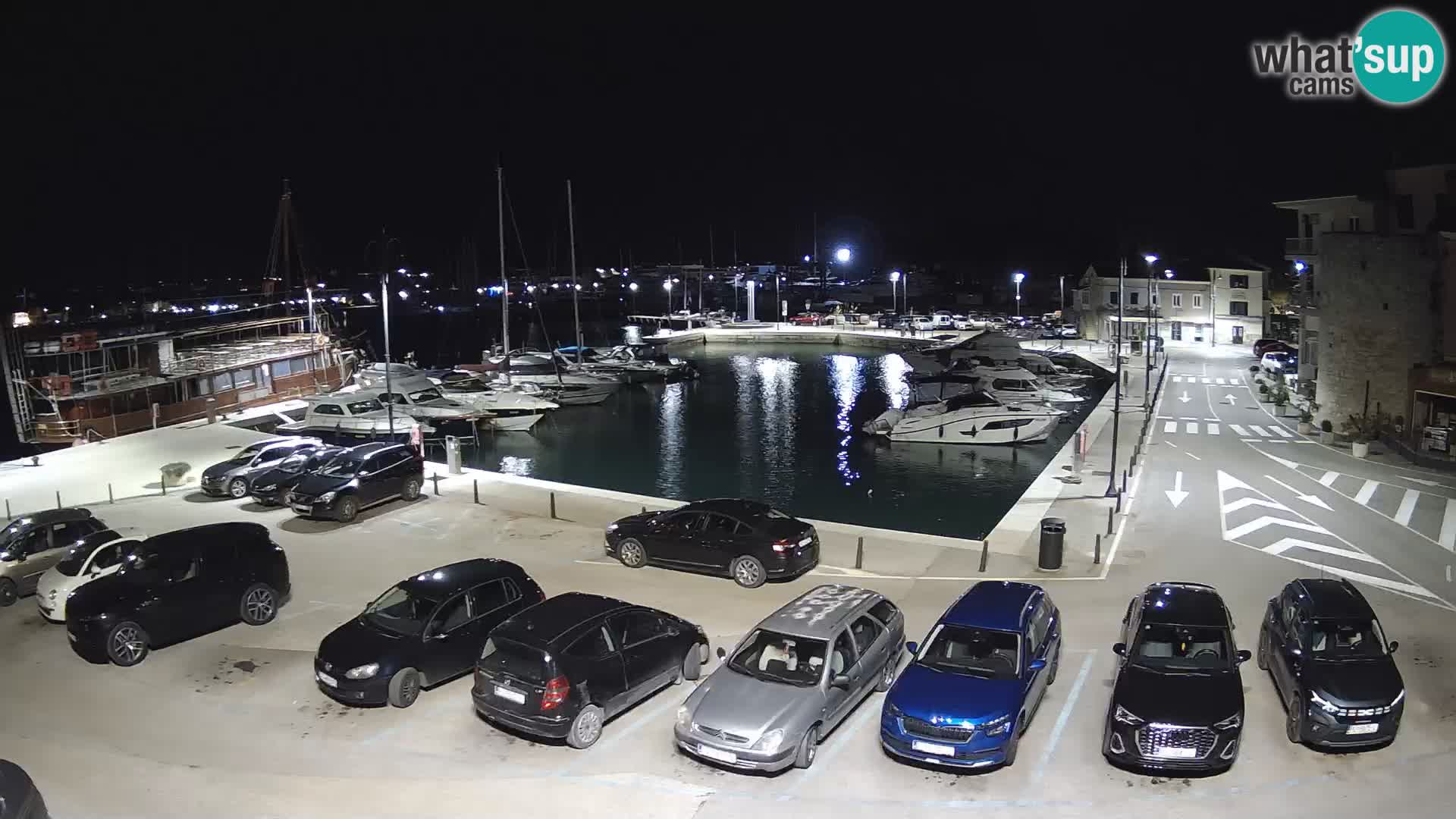 Novigrad | Porporela marina