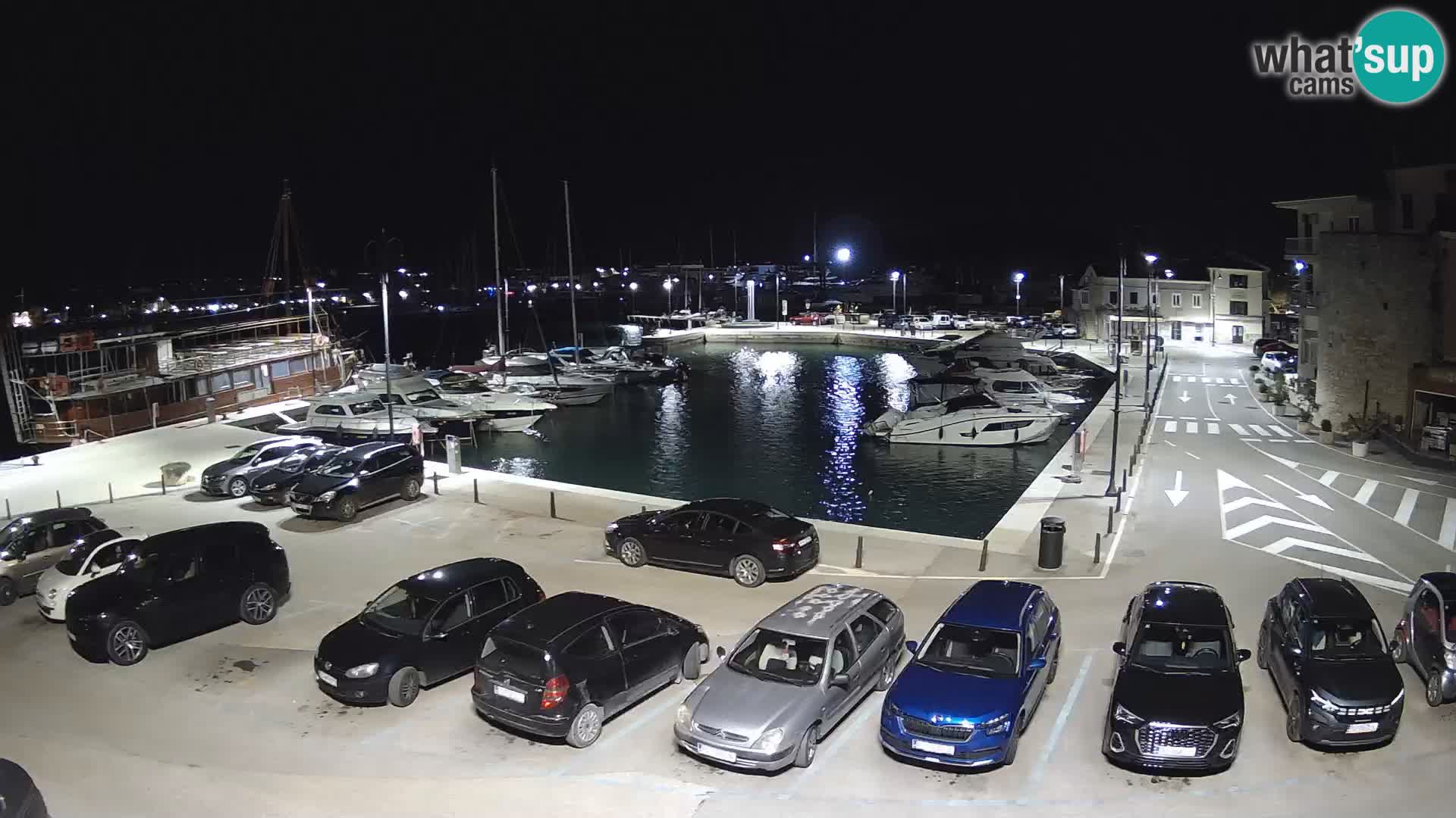 Novigrad | Porporela marina