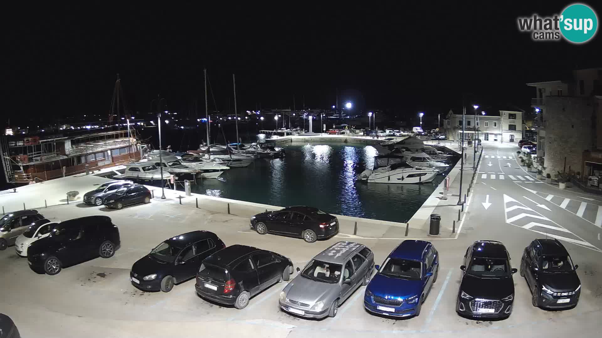 Novigrad | Porporela marina