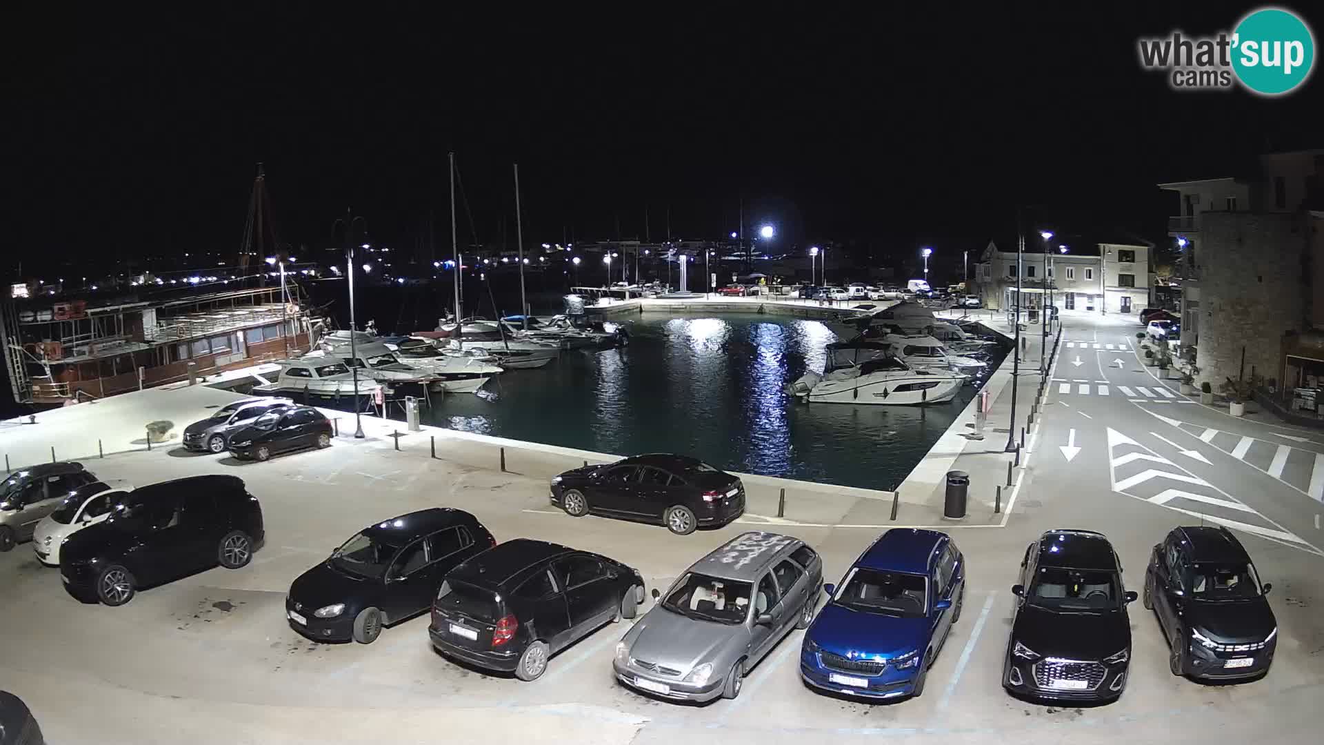 Novigrad | Porporela marina