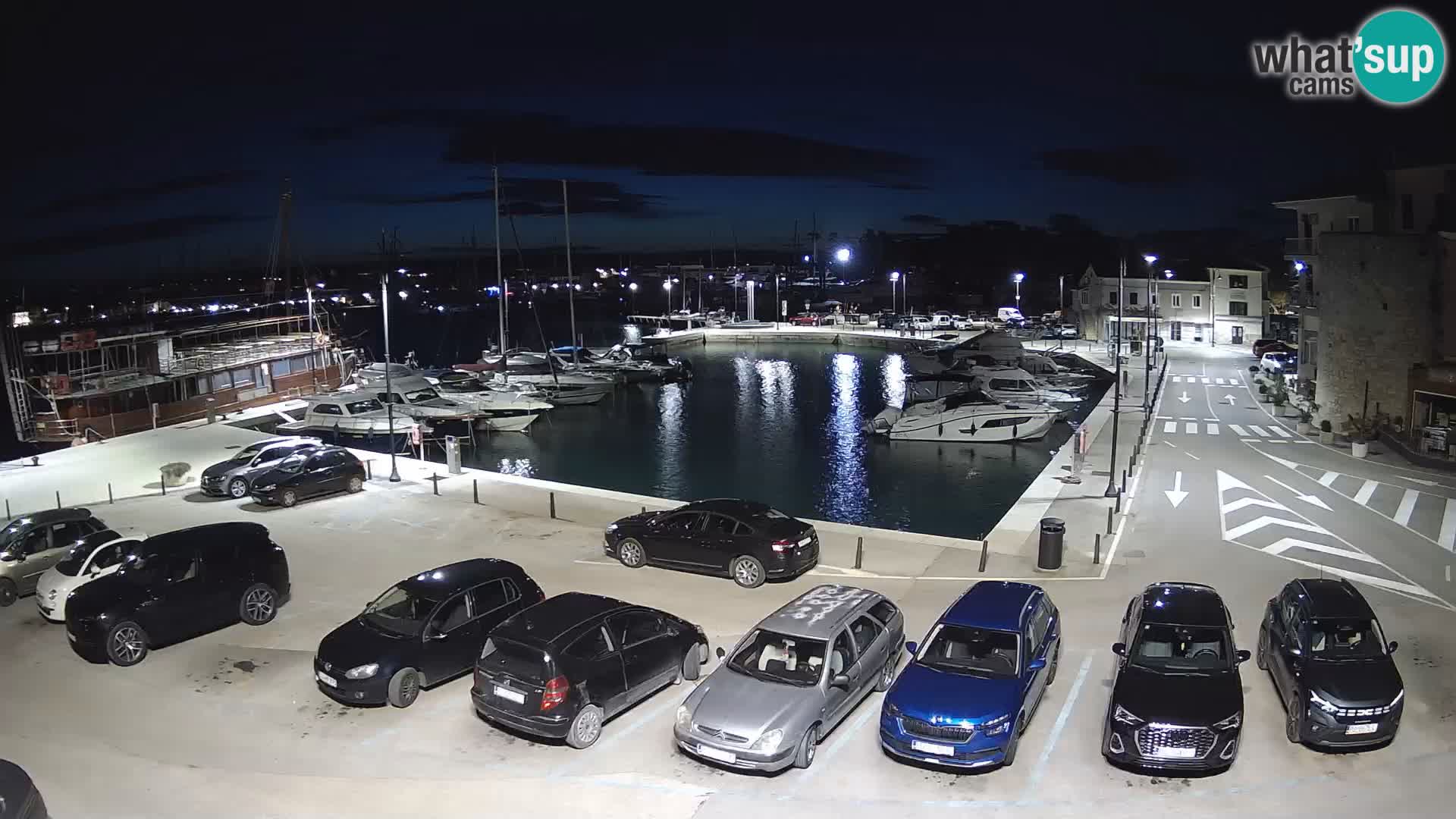 Novigrad | Porporela marina