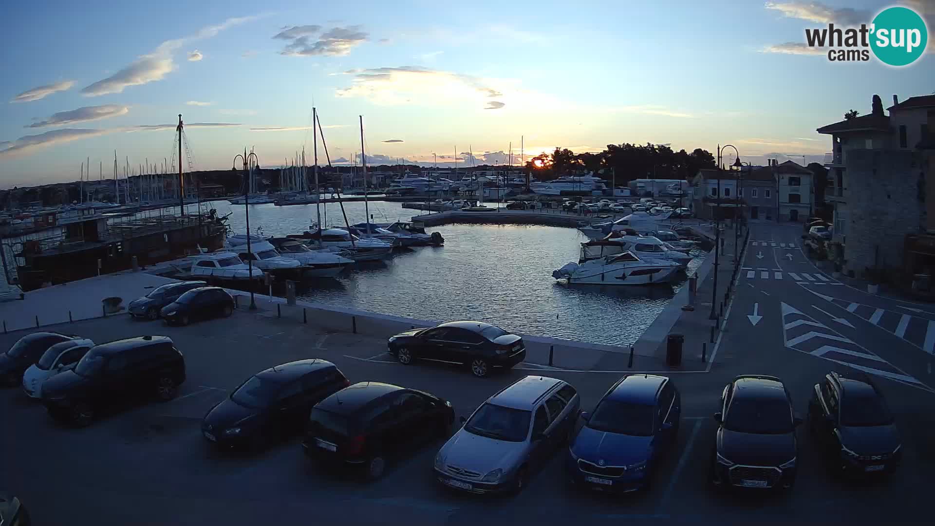 Novigrad | Porporela marina