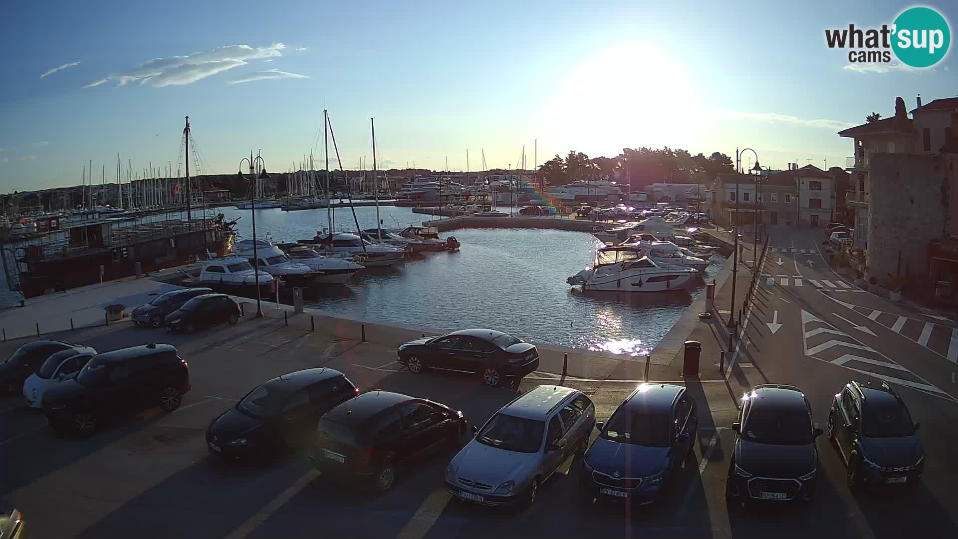 Novigrad | Porporela marina