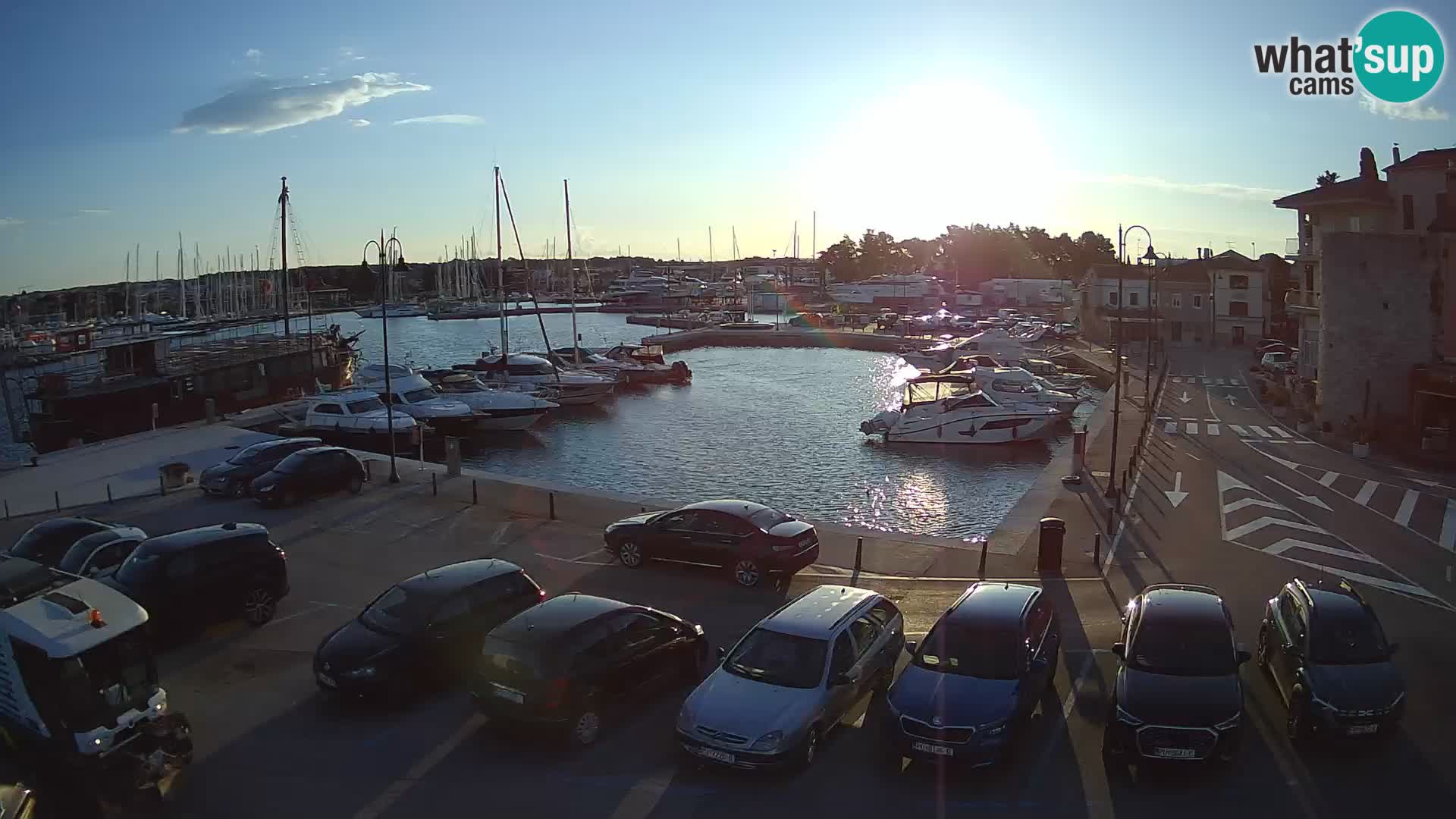 Novigrad | Porporela marina