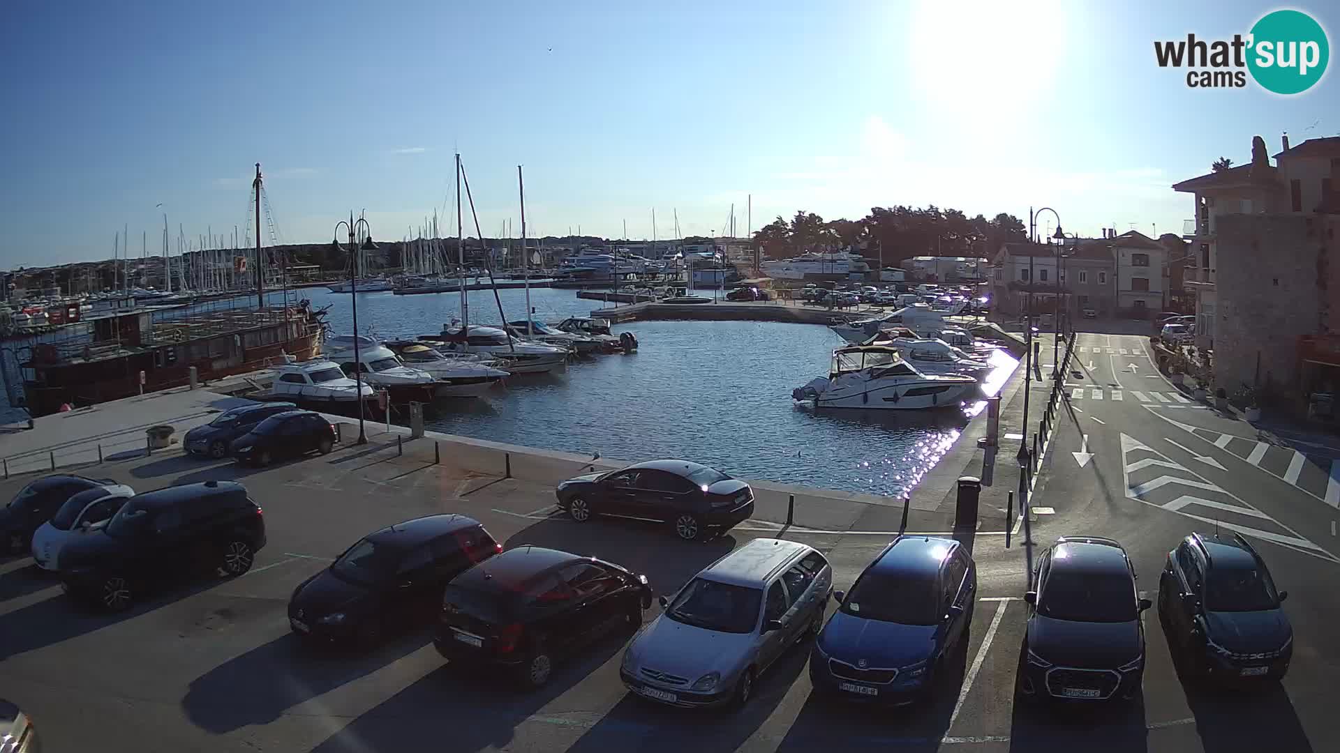 Novigrad | Porporela marina