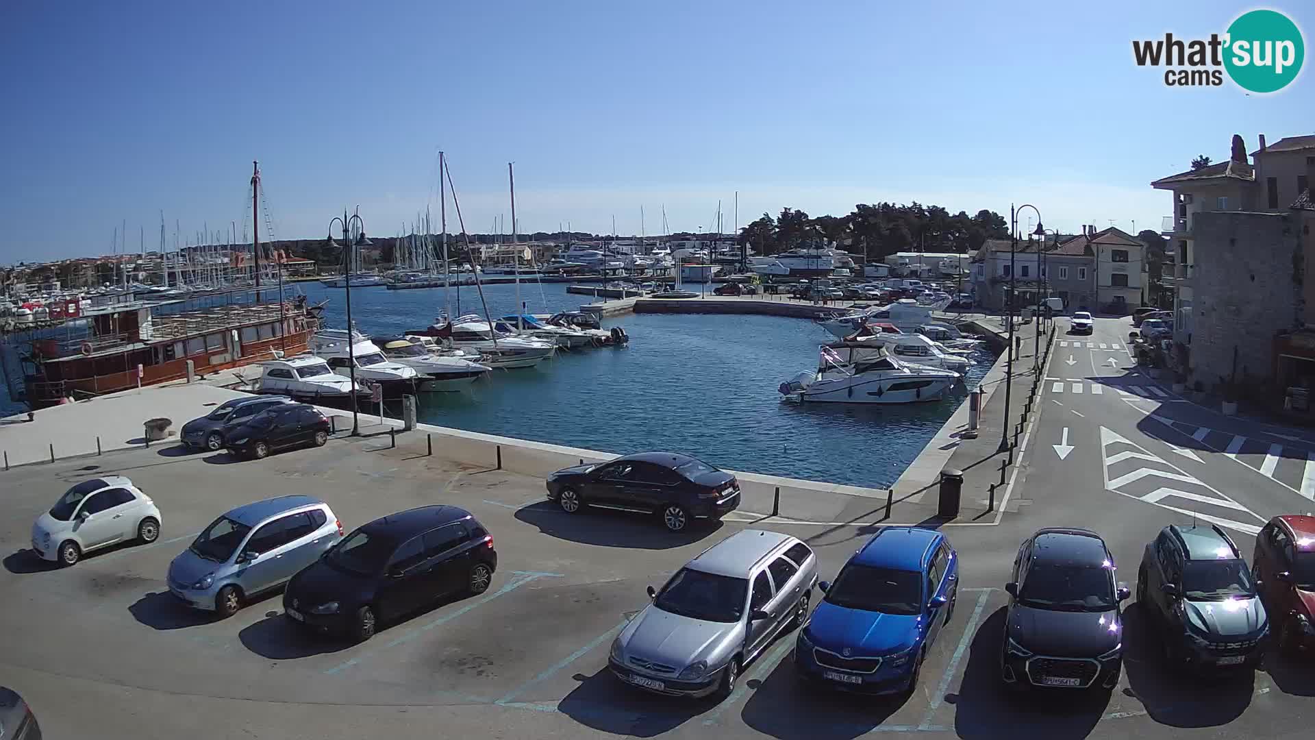 Novigrad | Porporela marina