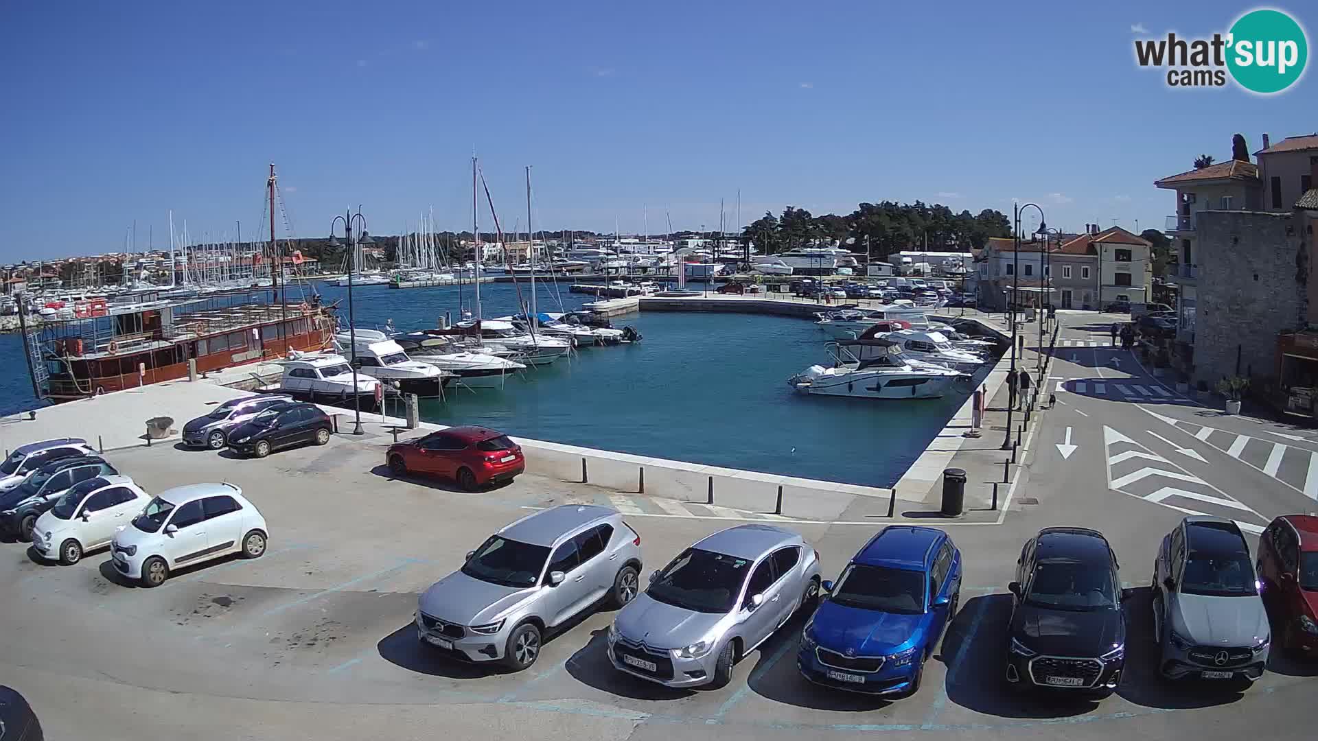 Novigrad | Porporela marina
