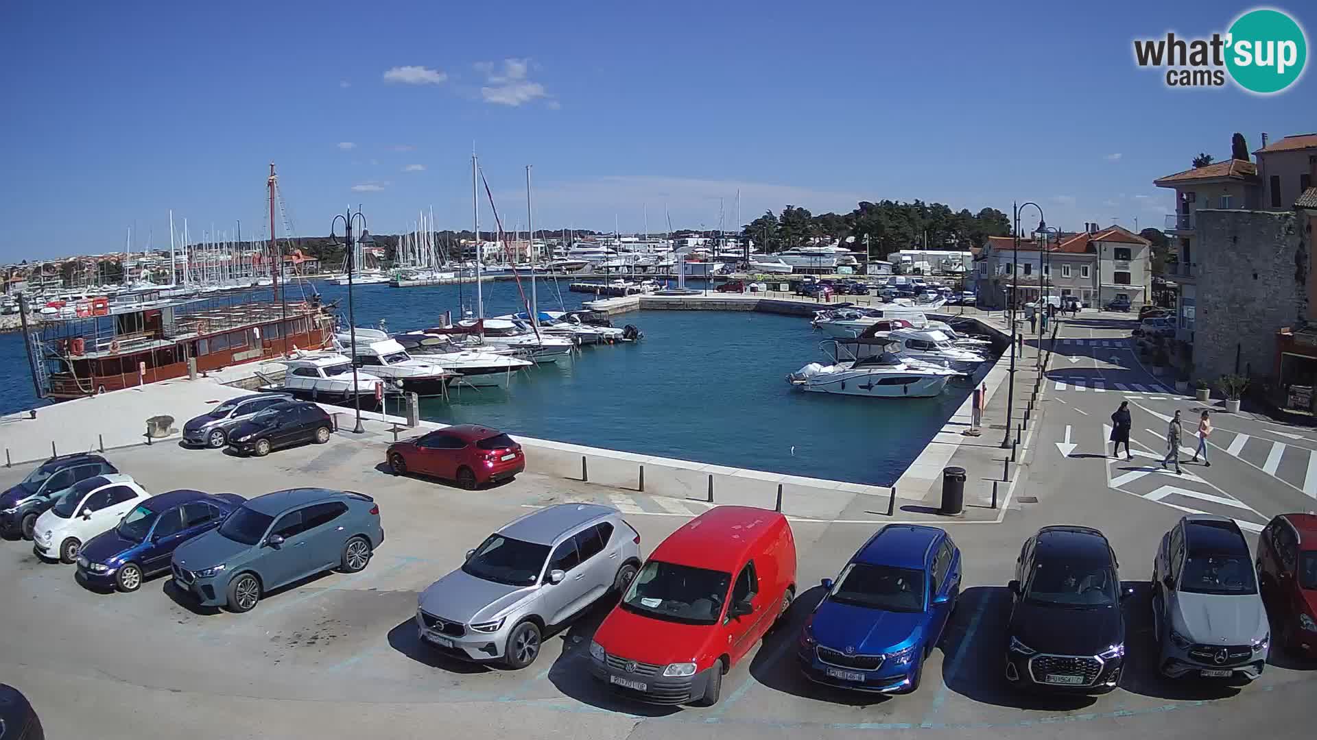 Novigrad | Porporela marina