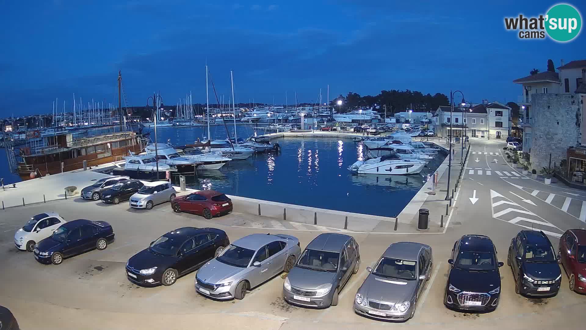 Novigrad | Porporela marina