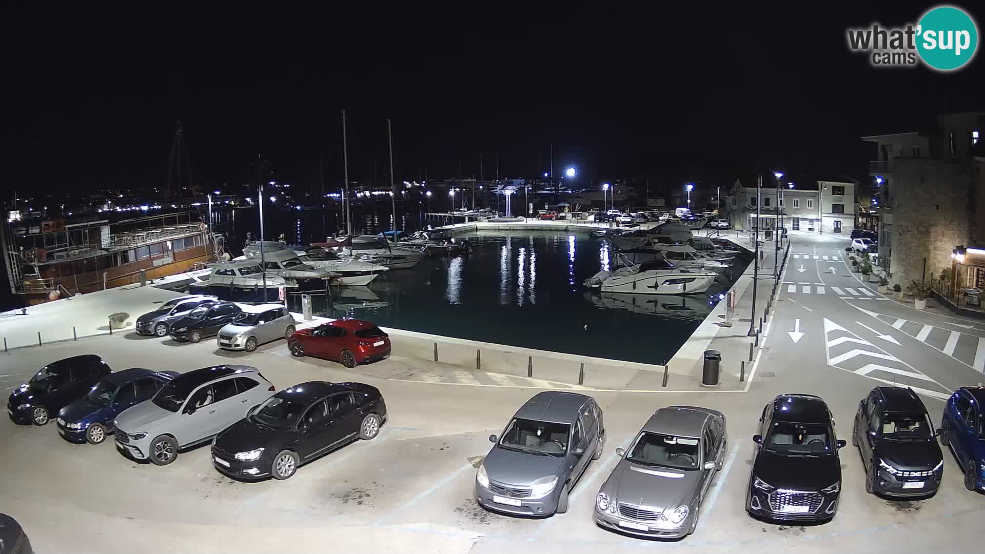 Novigrad | Porporela marina