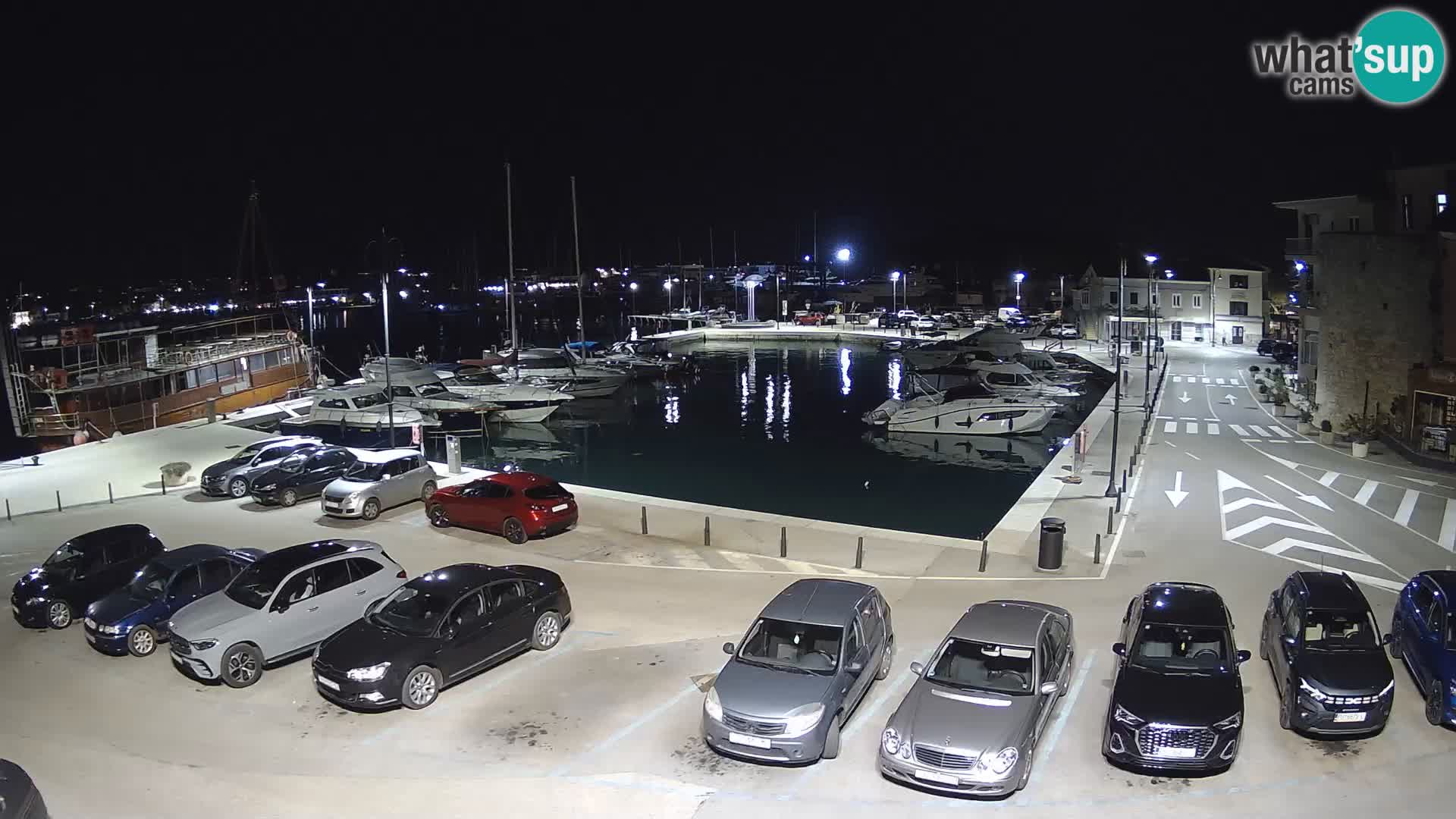 Novigrad | Porporela marina