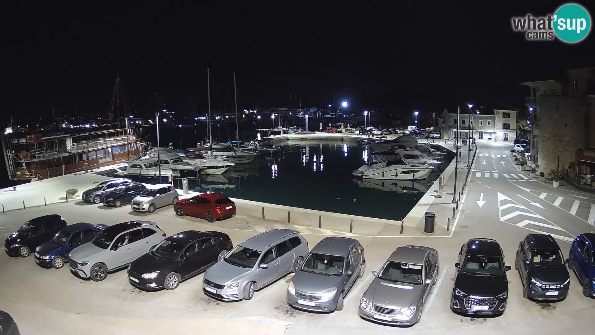 Novigrad | Porporela marina
