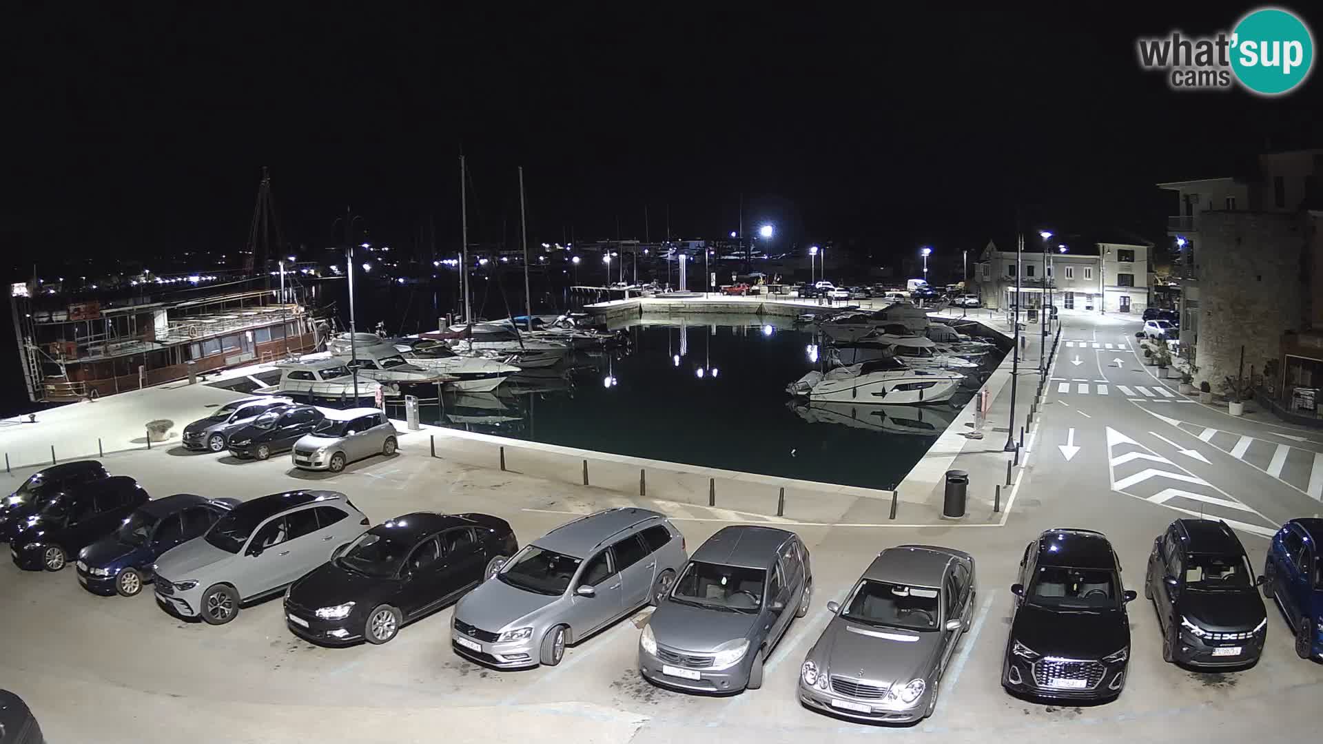 Novigrad | Porporela marina